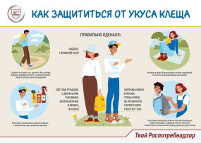 Как защититься от укусов клещей Как защититься от укусов клещей.